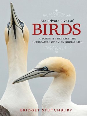 cover image of The Private Lives of Birds